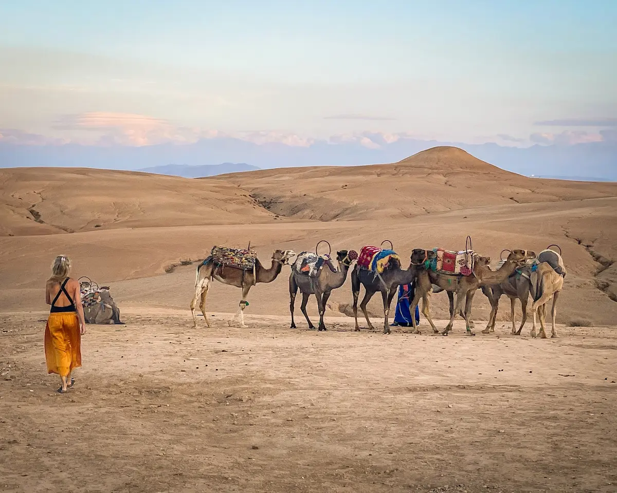 Désert d'Agafay au coucher du soleil près de Marrakech