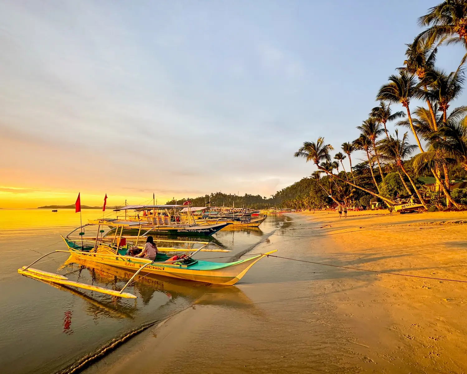 Palawan : De Puerto Princesa à Port Barton, hors des sentiers battus