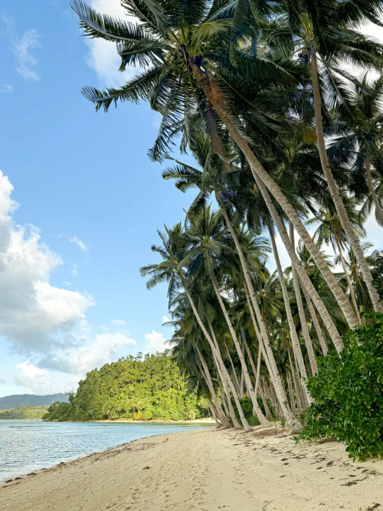 Coconut Beach Port Barton