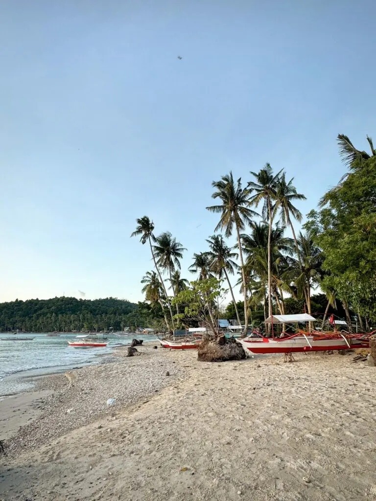 Acuario Beach Inn San Vicente
