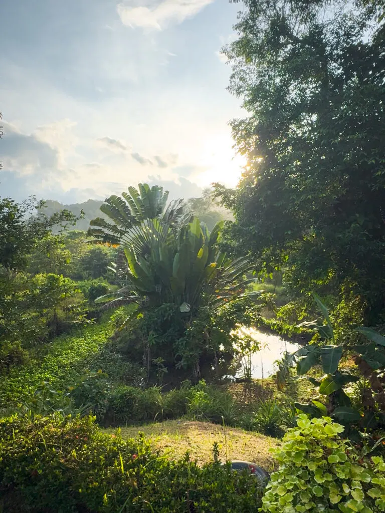 Bambua Nature Cottage Sabang