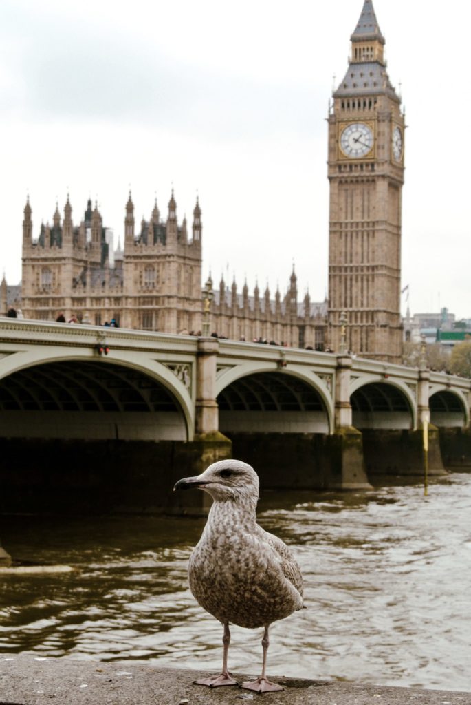 Big Ben Londres 2