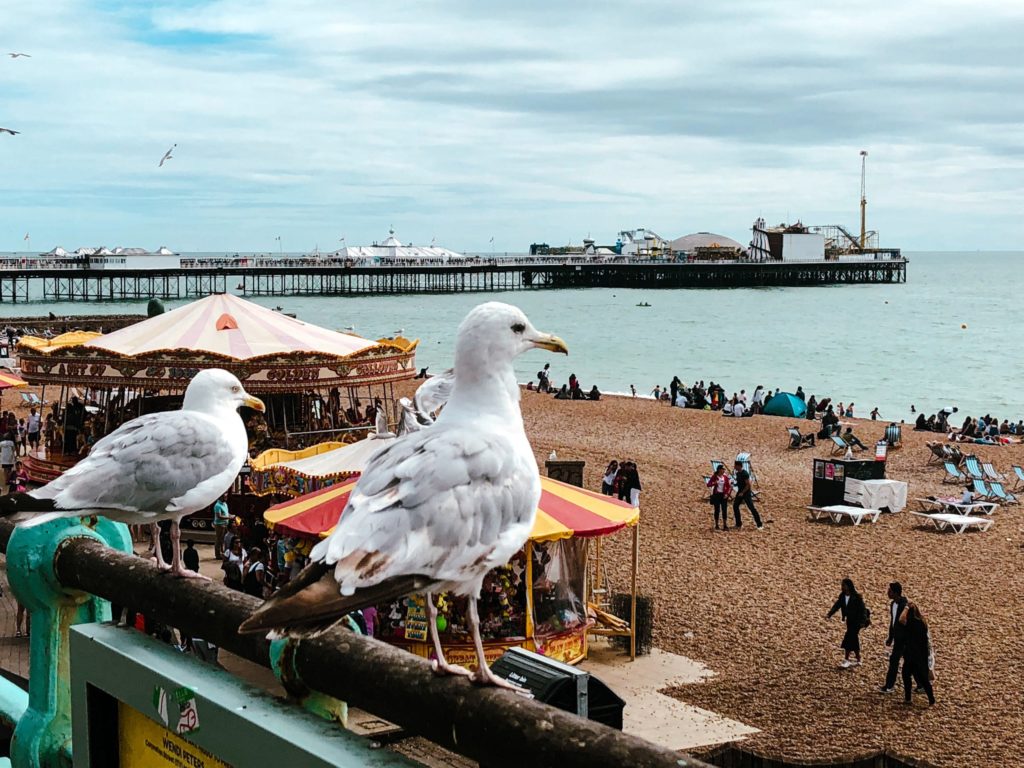 Brighton plage 2