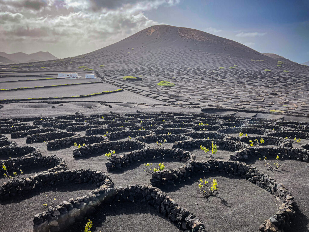 La Geria Lanzarote