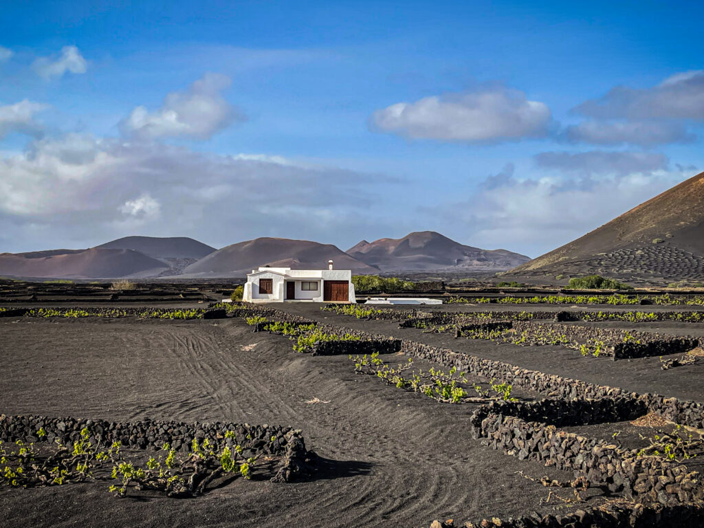 La Geria Lanzarote