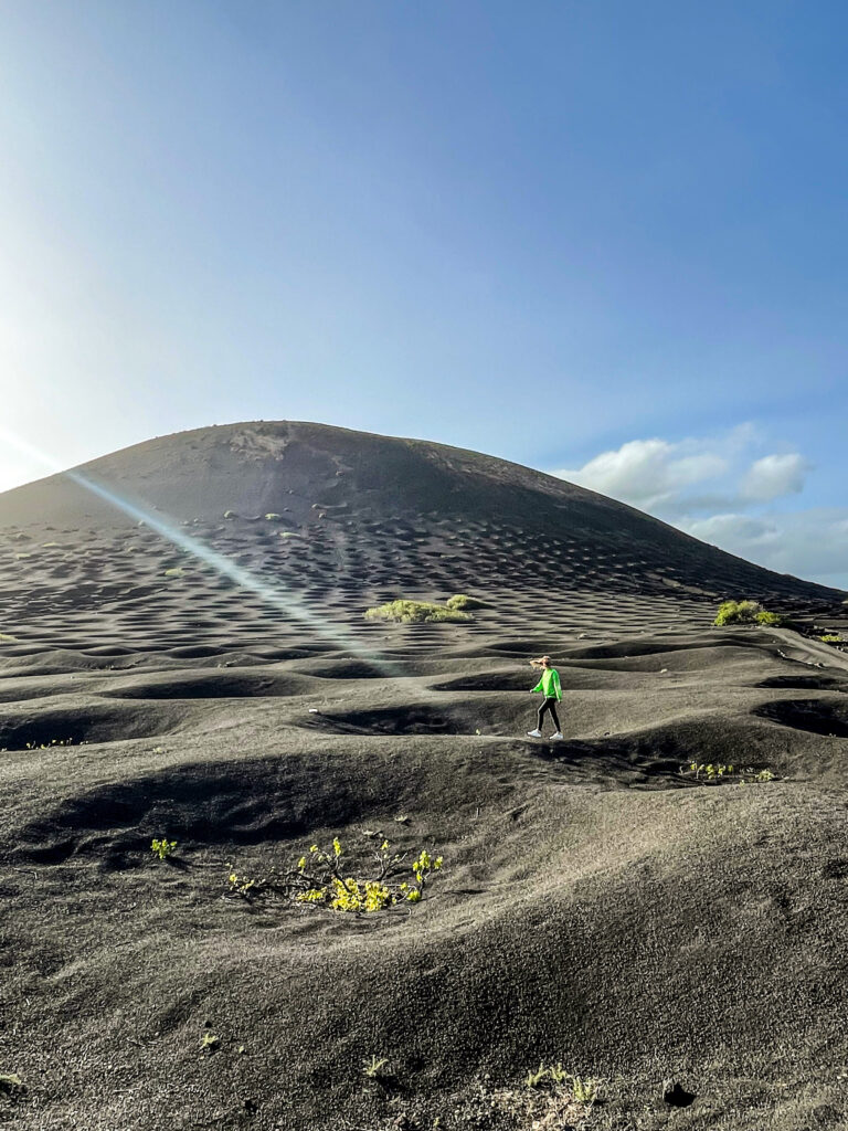 Vignes volcaniques Lanzarote