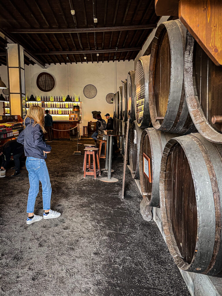 Bodega La Geria Lanzarote