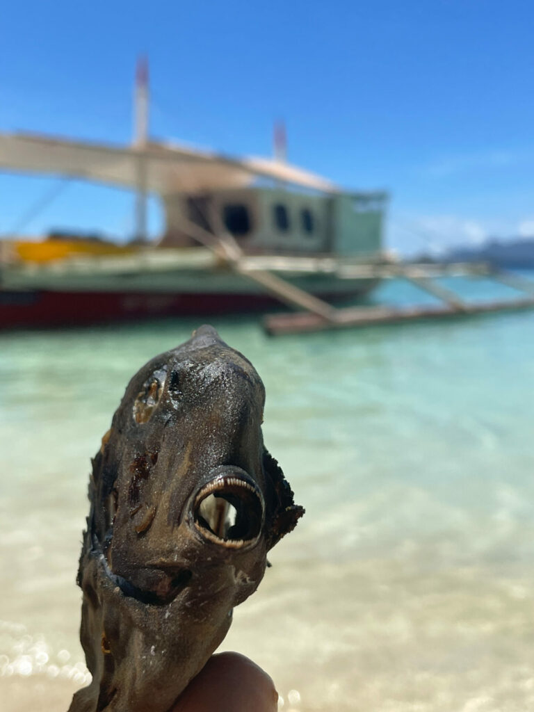 Poisson Food Island Hopping Coron