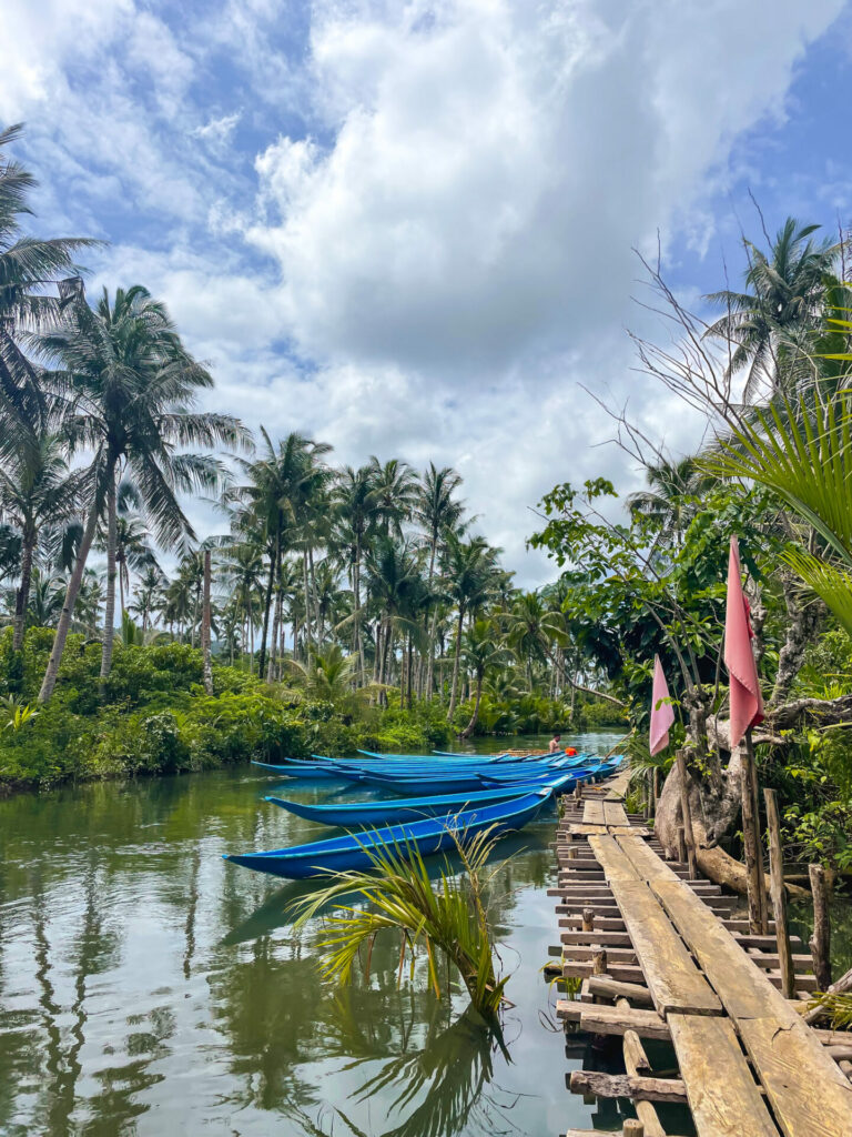 Maasin Bridge River Siargao