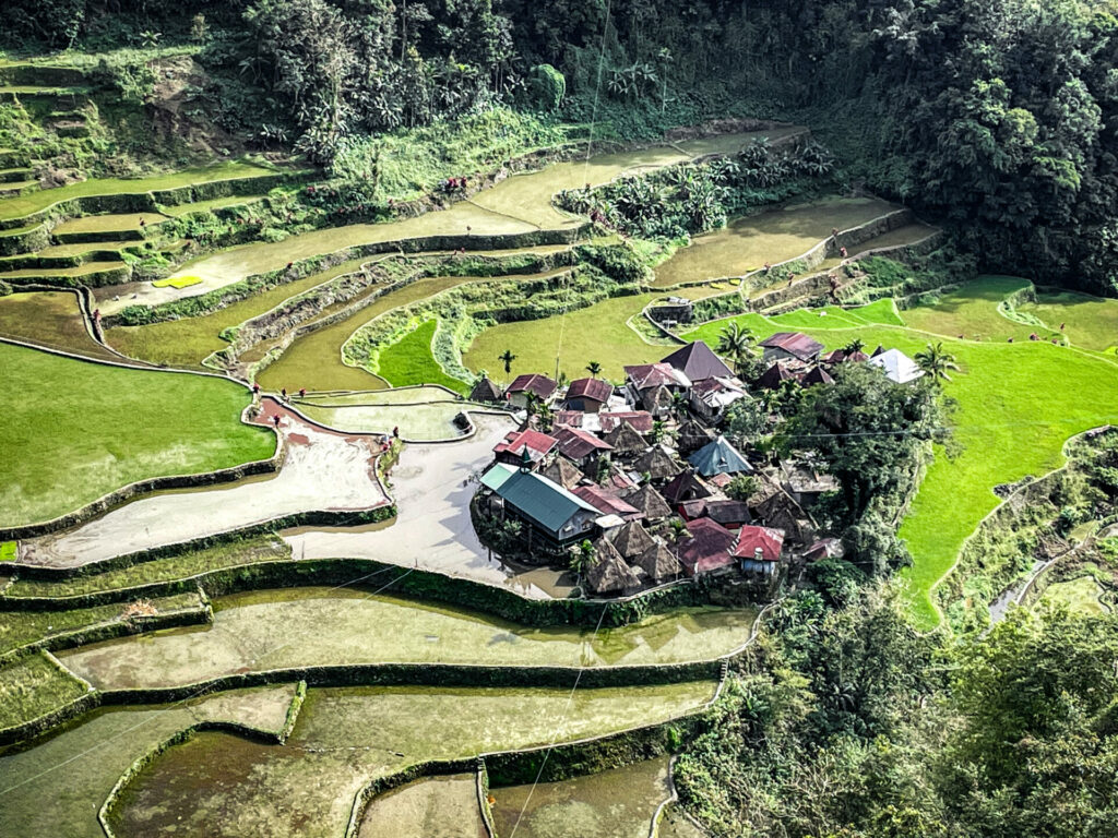 Rizières en terrasses Bangaan Village