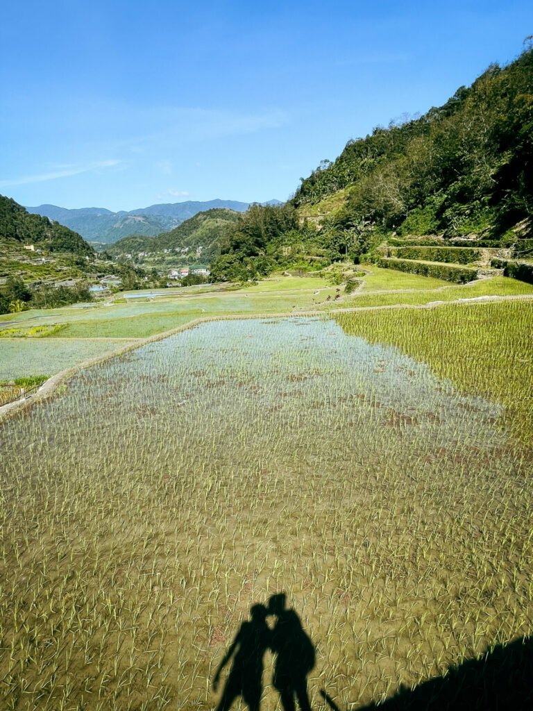 Rice Terrace Hapao Batad