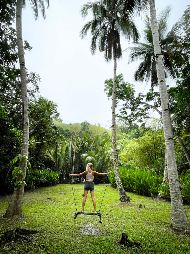 Water to Forest Ecolodge Bohol