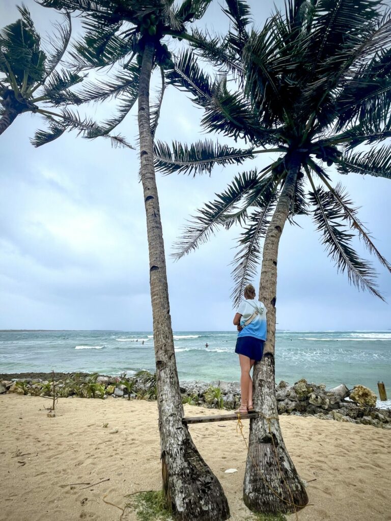 Siargao Beach Coconuts