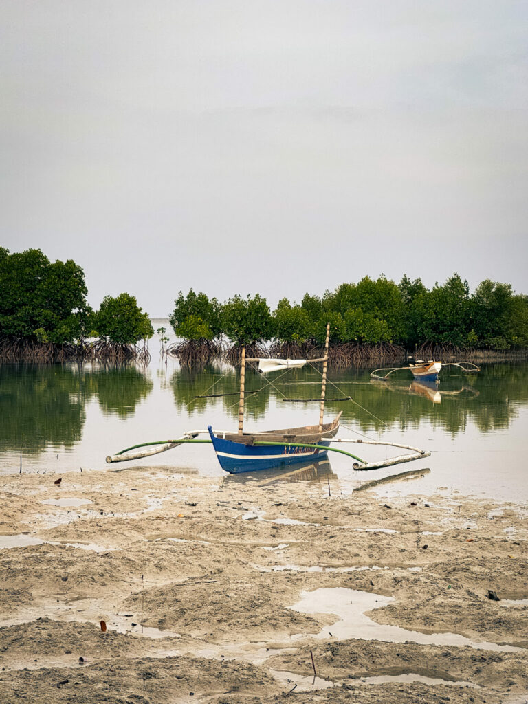 BM Beach Puerto Princesa