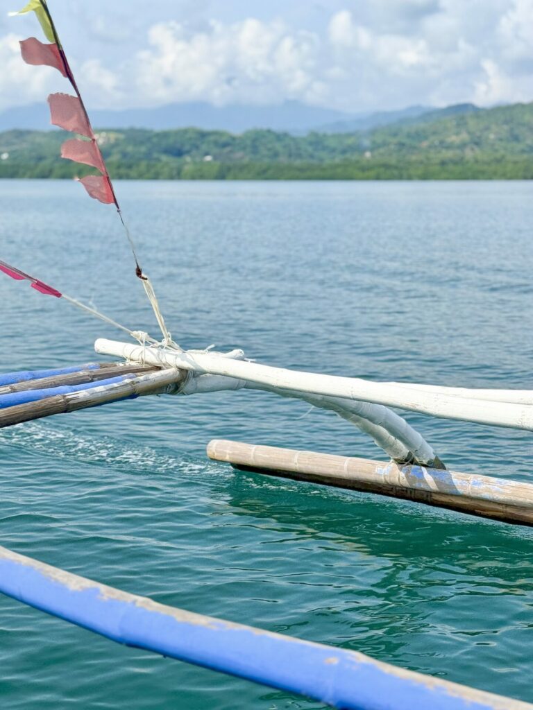 Pambato Reef Puerto Princesa