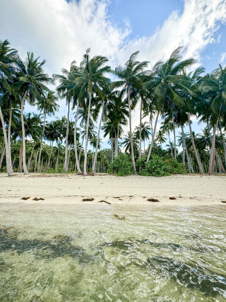 Coconut Beach Port Barton
