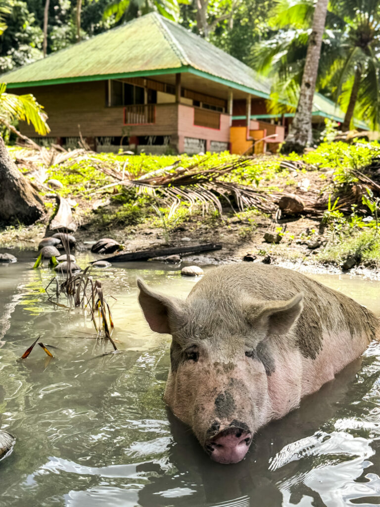 Cochon White Beach Port Barton