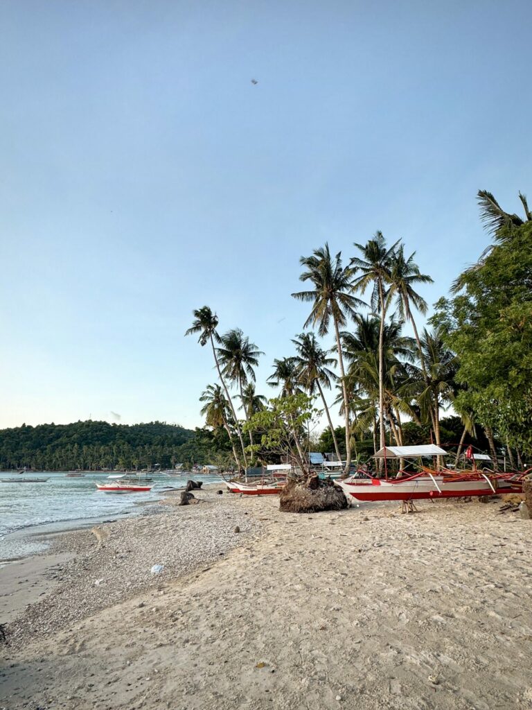 Acuario Beach Inn San Vicente