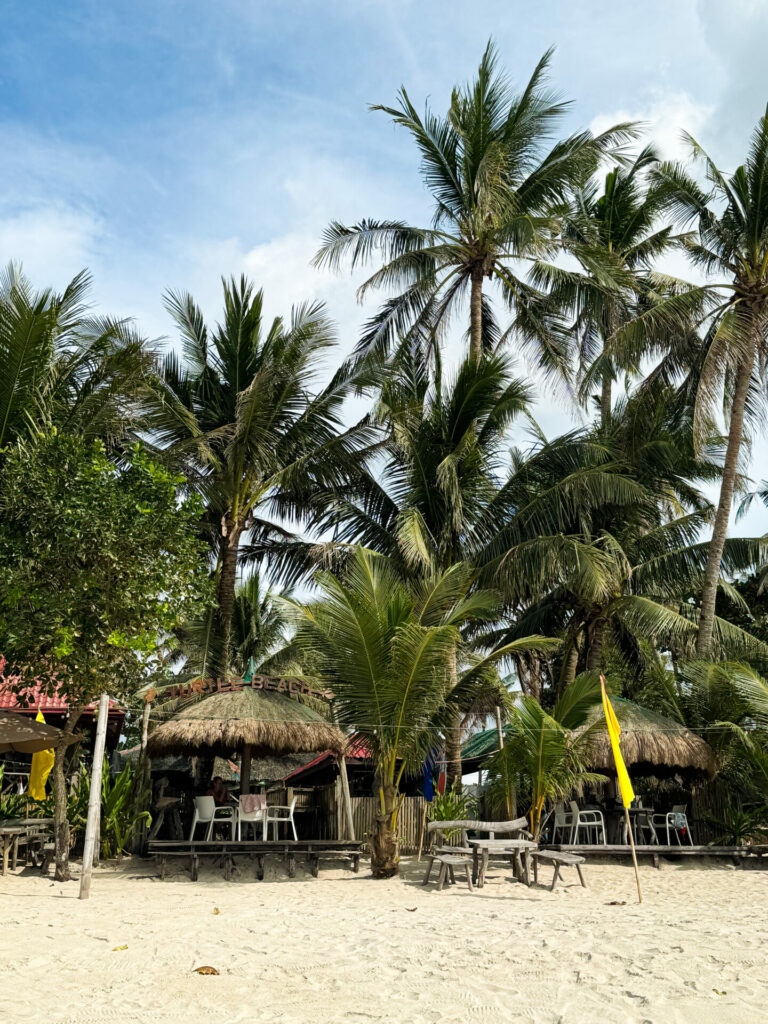 The Turtle Beach & Restaurant San Vicente