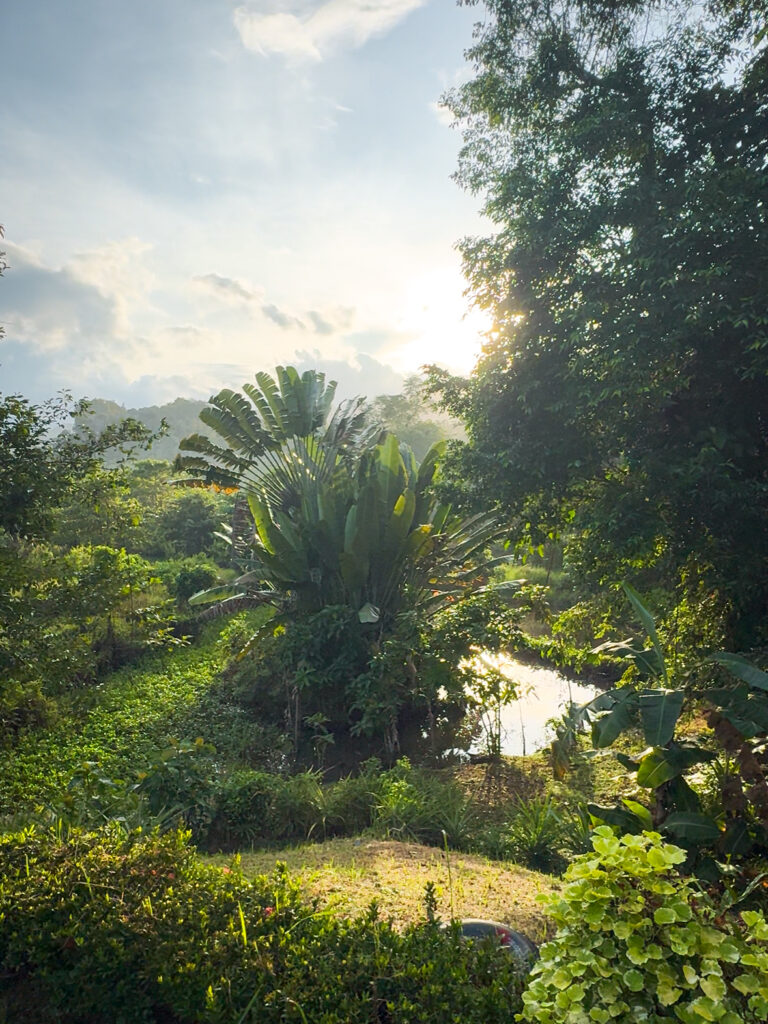 Bambua Nature Cottage Sabang