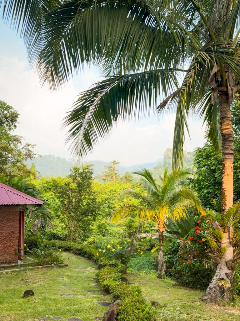 Bambua Nature Cottage Sabang